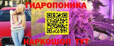 гидра Краснокаменск